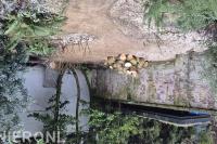 JvR Boom en Groen