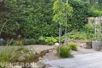 Tuin met waterloop 1