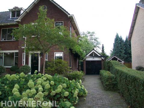 Groene voortuin met hortensia's en ligusterhaag