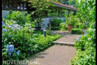 Groene voortuin met kleurrijke beplanting en looppad