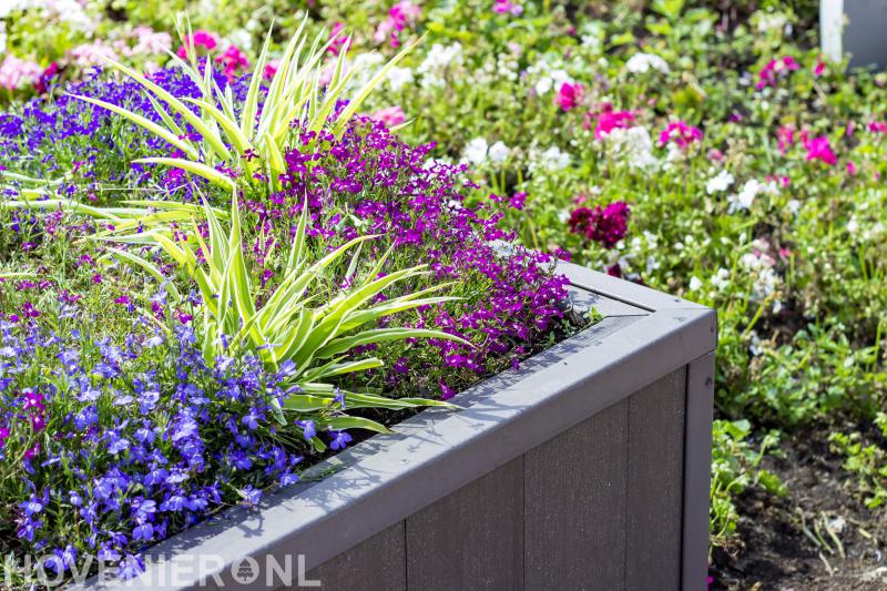 Campmans Groenaanleg- en Boomverzorging