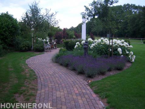 Kleurrijke border met hortensia's bij terras 2