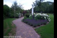 Kleurrijke border met hortensia's bij terras 2