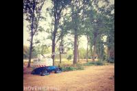 Bomen snoeien met inzet van hoogwerker