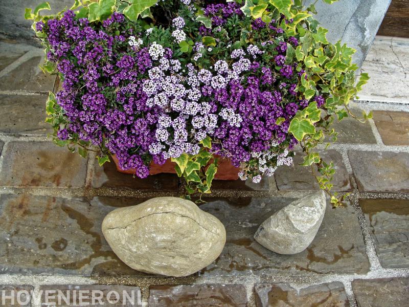 V.O.F. Groenvoorzieningsbedrijf Brink