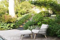 Tuinontwerp - Tuinaanleg - Beplantingsexpert uit Den Bosch