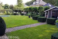 Ruime tuin met gazon, bolcatalpa's, leibomen en vormsnoei van hagen