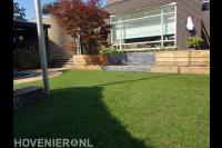 Achtertuin met gazon en ingebouwde trampoline