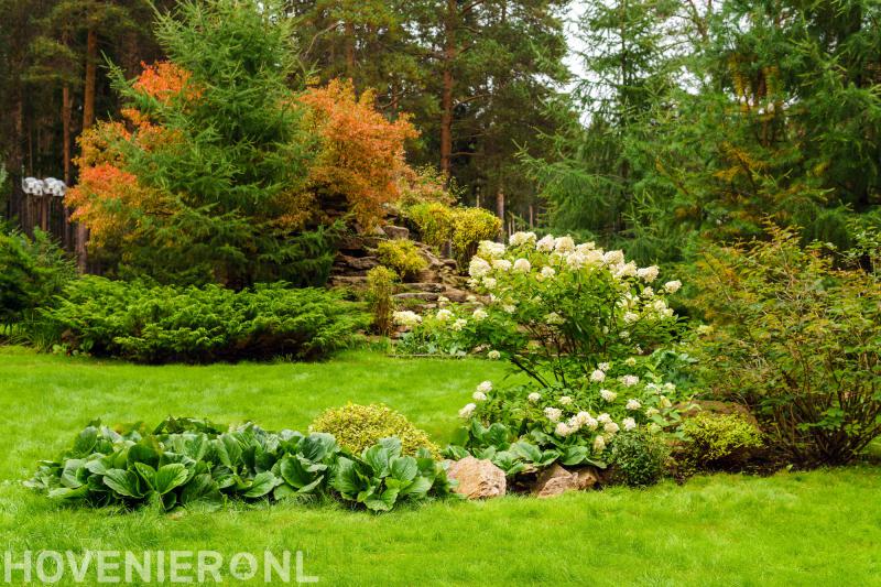 Hoveniersbedrijf Hans Visser