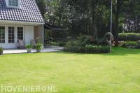 Ruime villatuin met groot gazon en veel groen 3