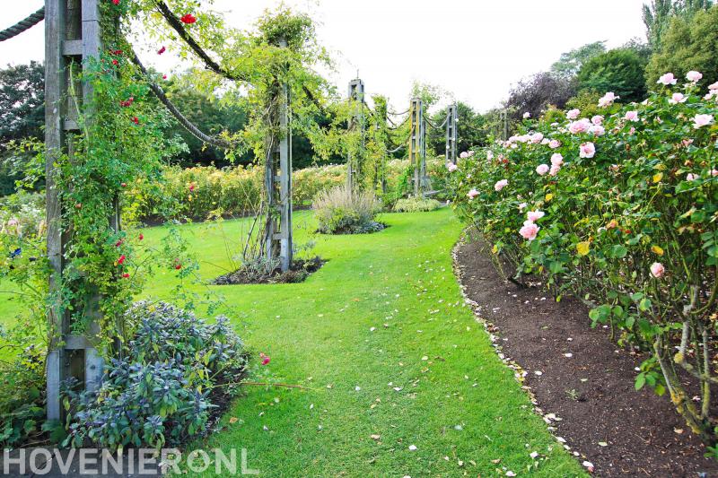 Hoveniersbedrijf Hans Knol