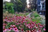 Beplantingsbureau.nl