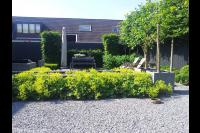 Moderne tuin met vijver, bomen en veel groen