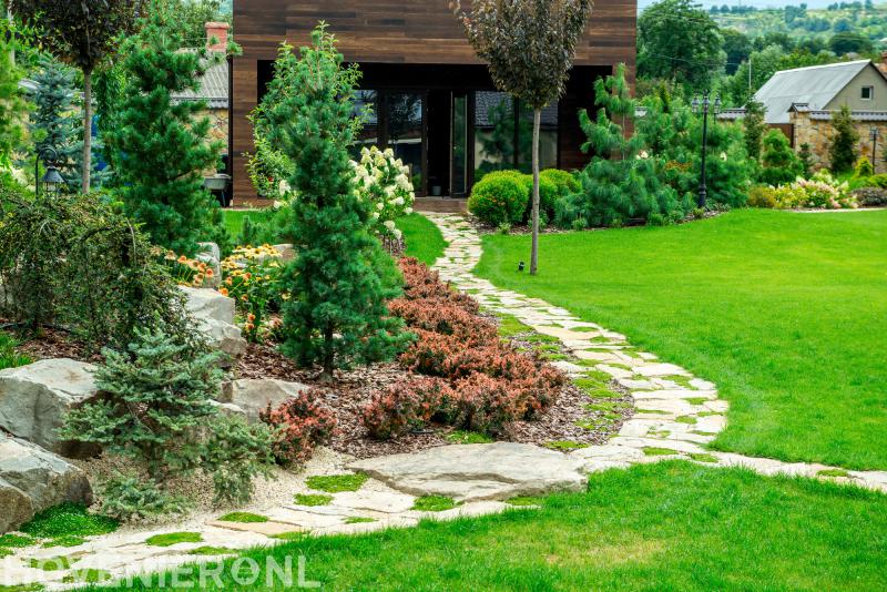 Roest Groenprojecten