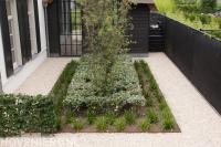 Border met siergras omgeven door fijn wit grind