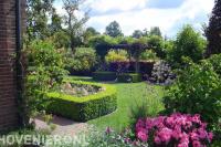 Groene achtertuin met hagen