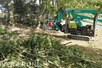 Maton Boomverzorging