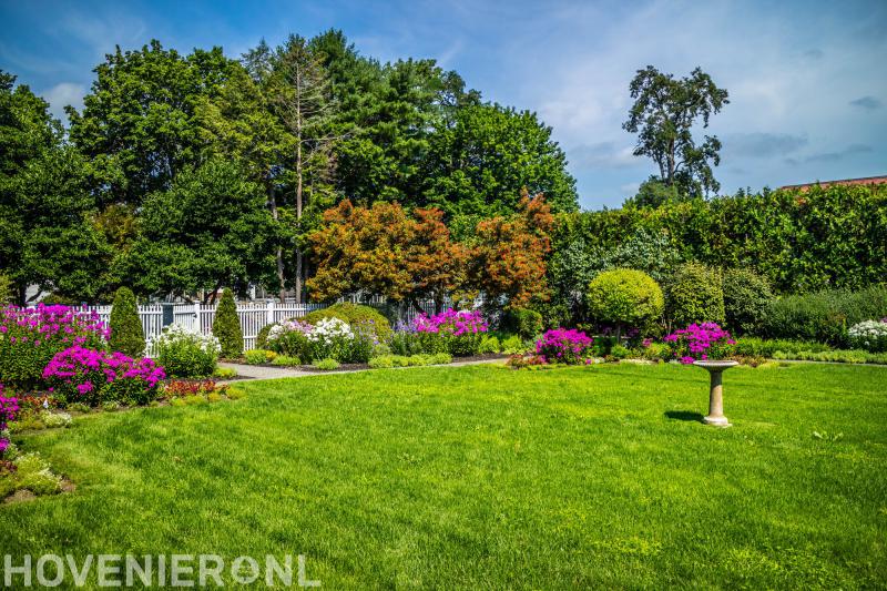 Frank van der Wijst Hovenierswerken