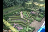 Strak snoeien van hagen en vormsnoei 1