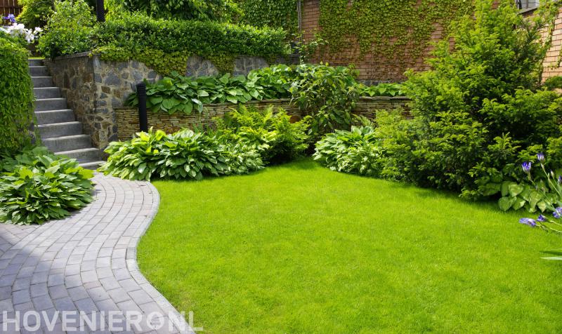 William Zieleman hovenier