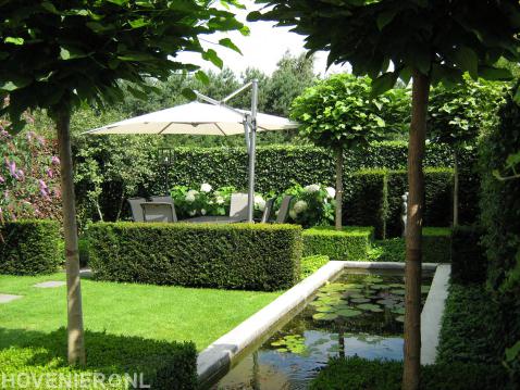 Sfeervolle tuin met vijver, hagen, hortensia's en catalpa's