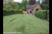 Nieuw gazon van graszoden