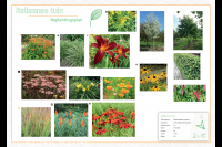 Beplantingsplan Italiaanse tuin