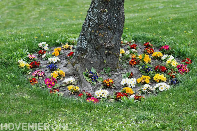 Van Putten Hoveniersbedrijf