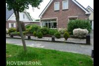 Groene voortuin met veel verschillende soorten planten 2