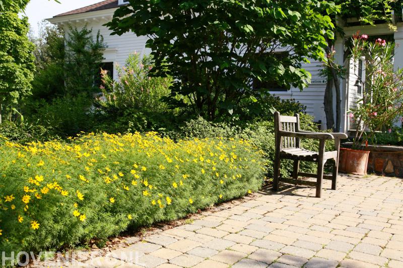 Maatschap Van der Velden