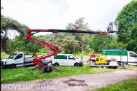 Wiegersma Boomverzorging