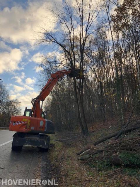 Bomen kappen langs provinciale weg 3