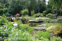 Loopbrug over vijver in natuurlijke tuin