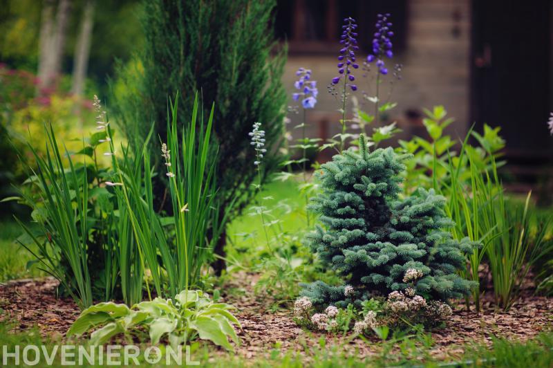 Hoveniersbedrijf Van den Berg