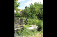 Verwijderen boom en opruimen takken bij huis