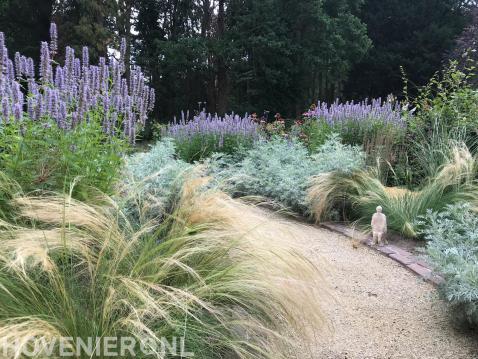 Kleurrijke borders met lavendel en siergras