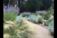 Kleurrijke borders met lavendel en siergras