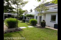 Tuin met gazon en tegels