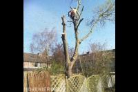 Hoveniersbedrijf Joël Breedveld