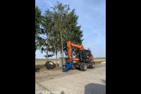 Gekapte boom afvoeren