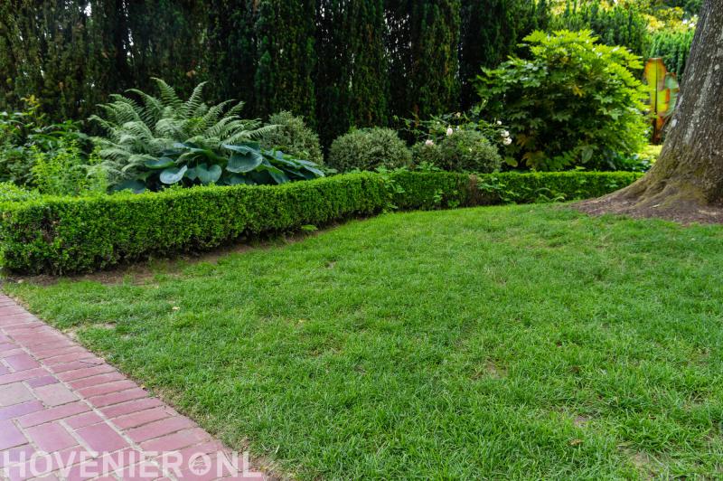 JVZ Groenvoorziening & Verhuur