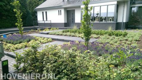 Voortuin met veel groen