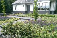 Voortuin met veel groen