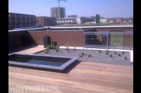 Daktuin met houten vlonder en vijver