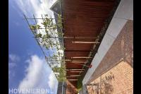 Vd plas tuinprojecten