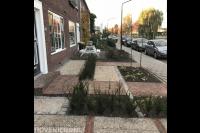 Onderhoudsvriendelijke voortuin met bestrating, split en haagplanten