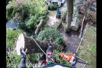 Boom kappen met klimtechnieken 7