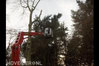 Boom kappen met hoogwerker