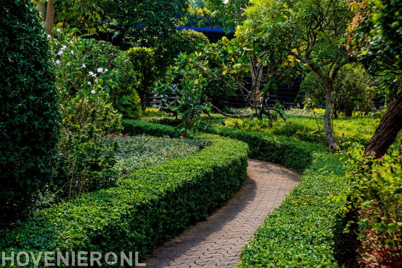 Hoveniersbedrijf Cees Klein