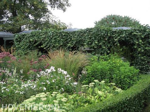 Kleurrijke beplanting